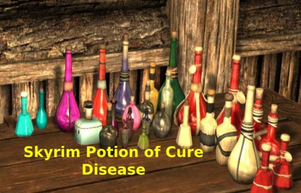 Skyrim How To Cure Diseases In Skyrim   Skyrim Potion Of Cure Disease 585x376 